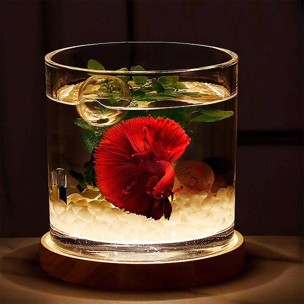 0.81-Gallon Cylindrical Aquarium Starter Kit with LED Light D70942
