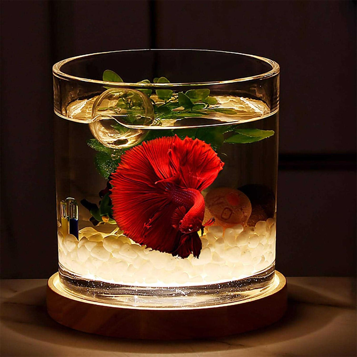 0.81-Gallon Cylindrical Aquarium Starter Kit with LED Light D70942