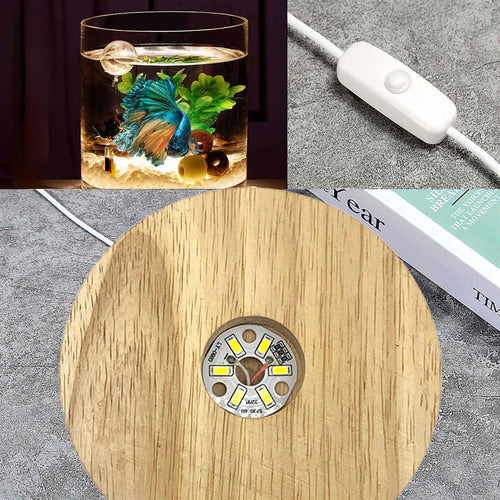 0.81-Gallon Cylindrical Aquarium Starter Kit with LED Light D70942