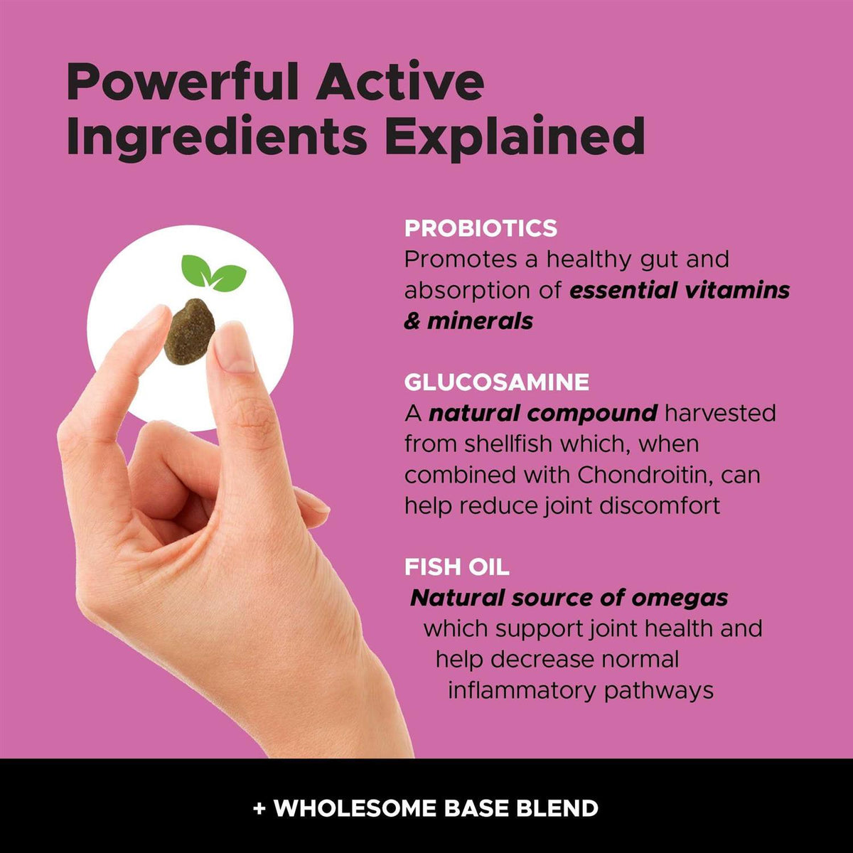 10 in 1 Multivitamin Glucosamine Soft Chews L68823