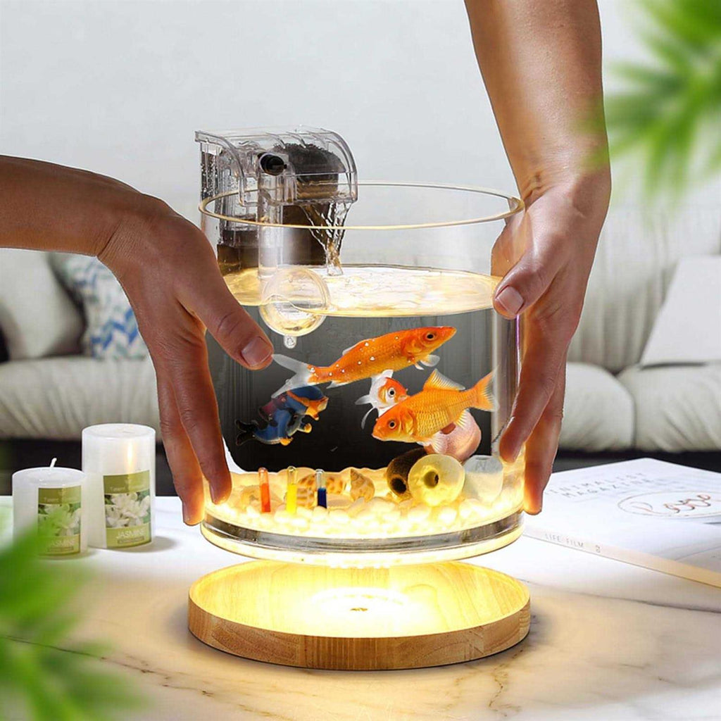 0.81-Gallon Cylindrical Aquarium Starter Kit with LED Light D70942