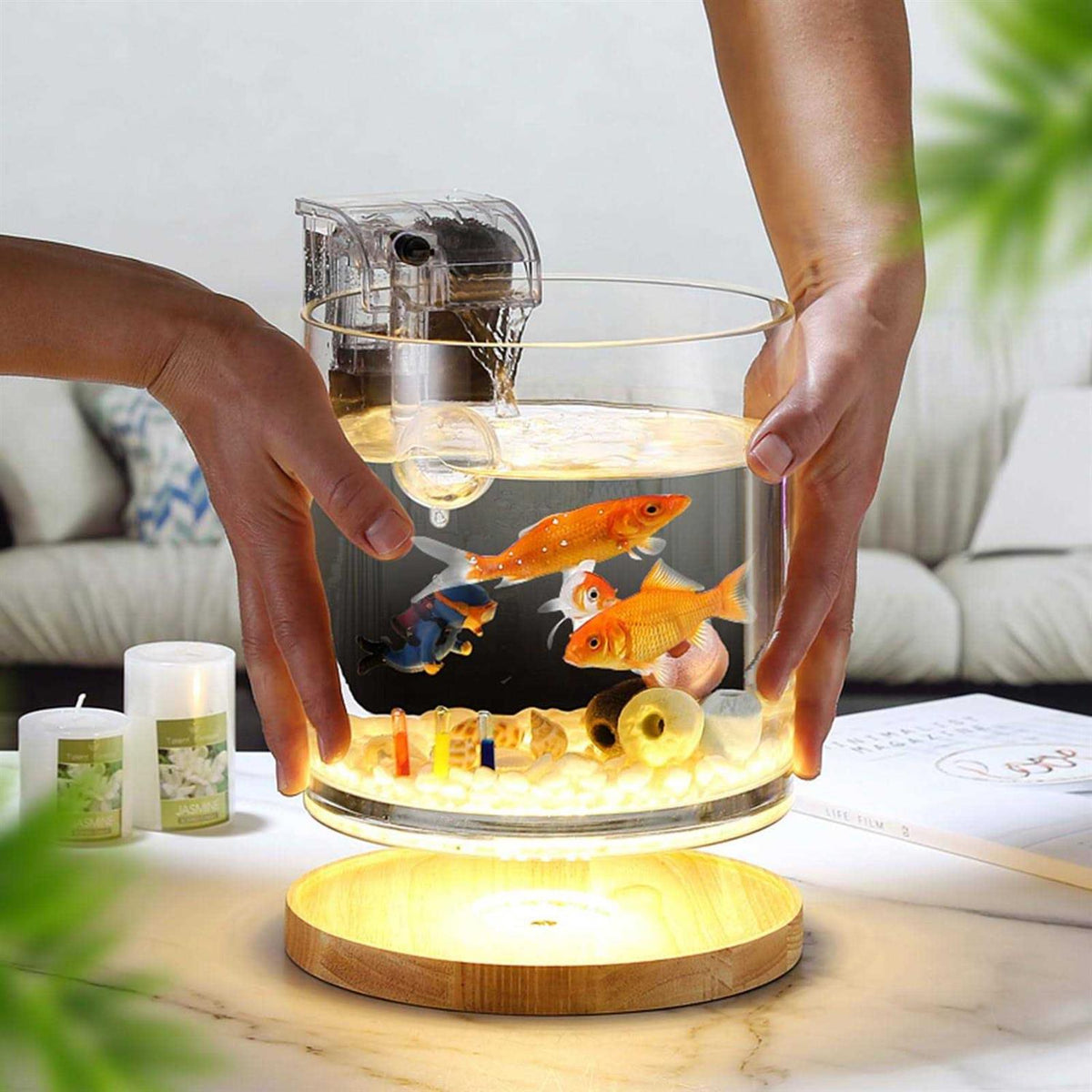 0.81-Gallon Cylindrical Aquarium Starter Kit with LED Light D70942